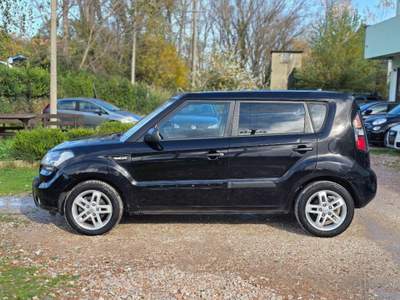 Kia Soul  1.6 CRDi Cool usata Pesaro