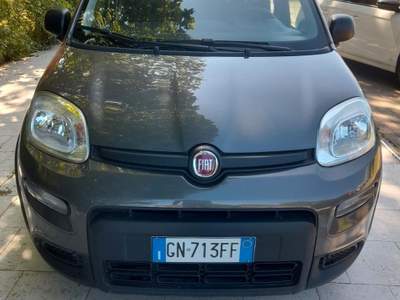 Fiat Panda Hybrid usata Riccione