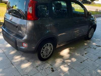 Fiat Panda Hybrid usata Riccione