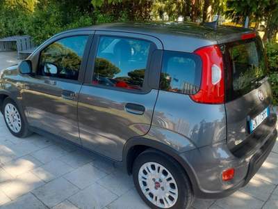 Fiat Panda Hybrid usata Riccione