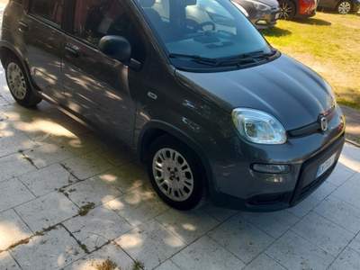 Fiat Panda Hybrid usata Riccione