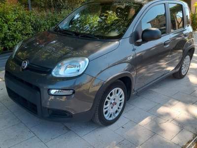 Fiat Panda Hybrid usata Riccione