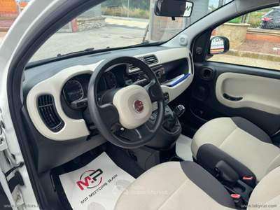 Fiat Panda PANDA LOUNGE 1.2 69CV GPL Bianco usata Bari