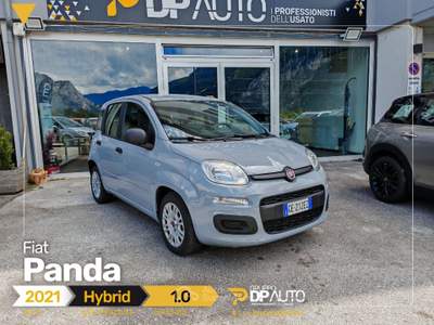 Fiat Panda 1.0 firefly hybrid s&amp;s 70cv 5p.ti Grigio usata San Michele all'Adige