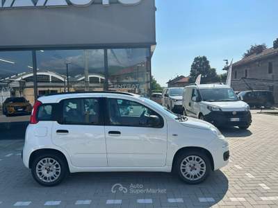 Fiat Panda 1.2 Easy 69cv E6 Bianco usata Pinerolo