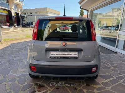Fiat Panda 1.0 hybrid Easy s&s UNICO PROPRIETARIO BELLISSIMA Grigio usata Cesano Maderno