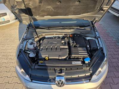 Volkswagen Golf Variant 1.6 TDI 110cv garantita 12 mesi Argento usata Gemona del Friuli