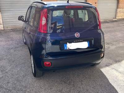 Fiat Panda Fiat Panda Mjet 1300, colore blu, 5 posti Blu/Azzurro usata Campobasso