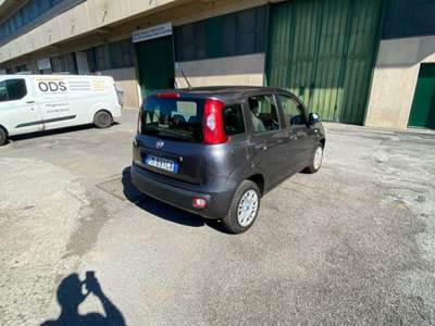 Fiat Panda fiat panda praticamente nuova Grigio usata Genova