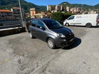Fiat Panda fiat panda praticamente nuova Grigio usata Genova
