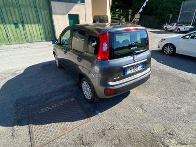 Fiat Panda fiat panda praticamente nuova Grigio usata Genova