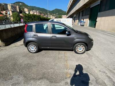 Fiat Panda fiat panda praticamente nuova Grigio usata Genova