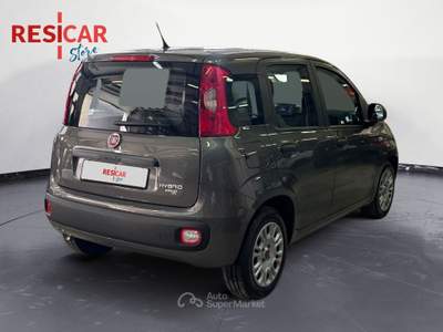 Fiat Panda Panda 1.0 firefly hybrid s&s 70cv idonea neopatentato Grigio usata Alessandria