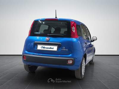 Fiat Panda  my25  1.0 gse 70cv Blu/Azzurro usata Firenze