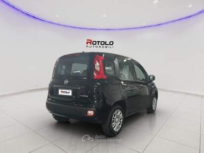Fiat Pandina Pandina 1.0 FireFly 65 CV Hybrid Icon Nero usata Torino