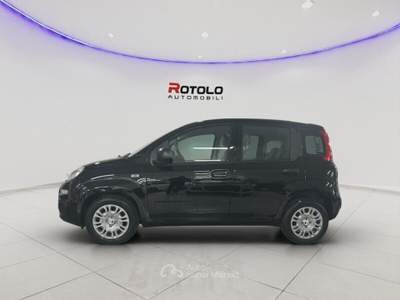 Fiat Pandina Pandina 1.0 FireFly 65 CV Hybrid Icon Nero usata Torino