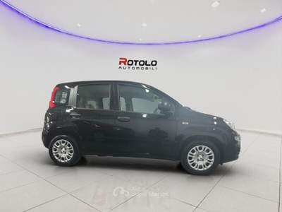 Fiat Pandina Pandina 1.0 FireFly 65 CV Hybrid Icon Nero usata Torino