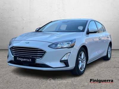 Ford Focus 1.5 Ecoblue 120cv Business Bianco usata Civate