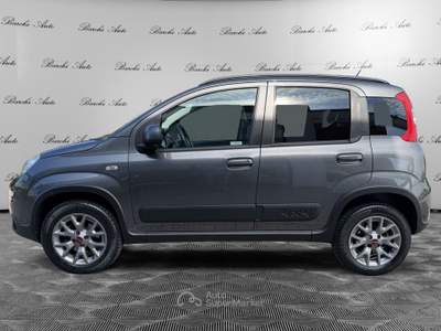 Fiat Panda Panda 1.3 mjt 16v 4x4 s&s 95cv Grigio usata Faenza