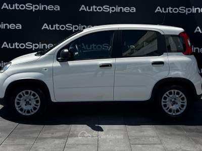 Fiat Panda 1.0 FireFly 70cv S&S Hybrid #5posti #packcity Bianco usata Spinea