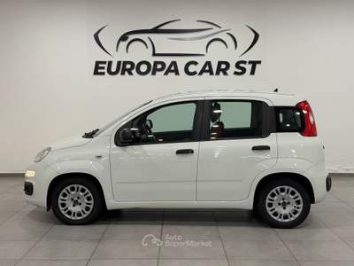 Fiat Panda 1.3  Multijet 95cv Lounge Bianco usata Caresanablot