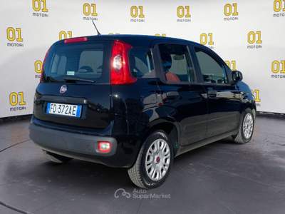 Fiat Panda 1.2 69cv Lounge Nero usata Pisa