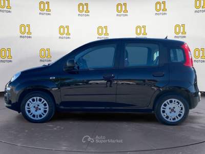 Fiat Panda 1.2 69cv Lounge Nero usata Pisa