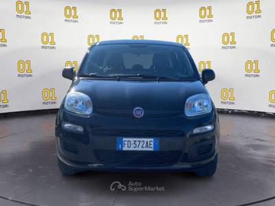Fiat Panda 1.2 69cv Lounge Nero usata Pisa