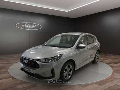 Ford Kuga Kuga 2.5 Full Hybrid 180 CV CVT 2WD ST-Line Grigio usata Venezia