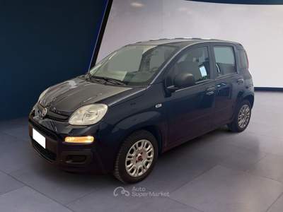 Fiat Panda III 2021 1.2 easypower Gpl s&s 69cv Blu/Azzurro usata Torino