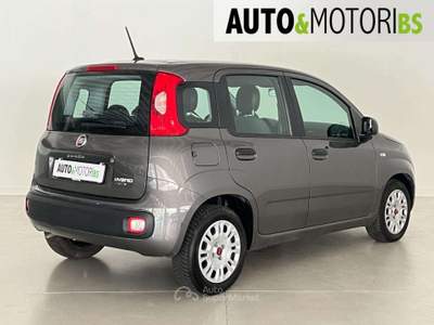 Fiat Panda 1.0 FireFly S&S Hybrid Easy *UNICO PROPRIETARIO* Grigio usata Concesio
