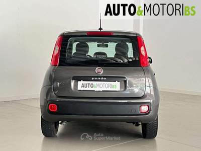 Fiat Panda 1.0 FireFly S&S Hybrid Easy *UNICO PROPRIETARIO* Grigio usata Concesio