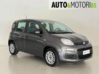 Fiat Panda 1.0 FireFly S&S Hybrid Easy *UNICO PROPRIETARIO* Grigio usata Concesio