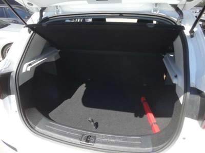 MG ZS ZS 1.0T-GDI aut. Luxury Bianco usata Castiglione delle Stiviere