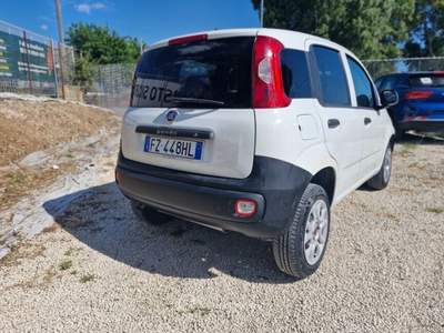 Fiat Panda VAN Bianco usata Roma