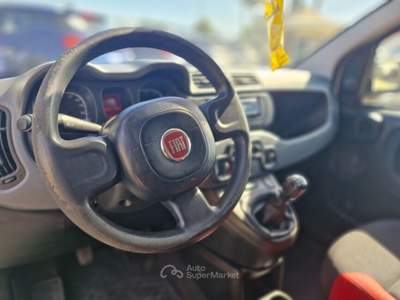 Fiat Panda VAN Bianco usata Roma