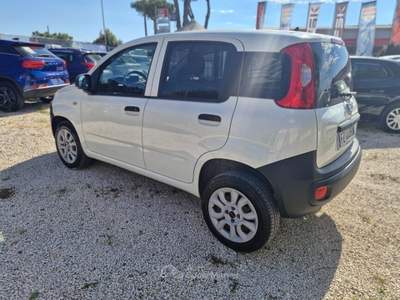Fiat Panda VAN Bianco usata Roma