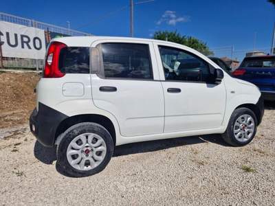 Fiat Panda VAN Bianco usata Roma