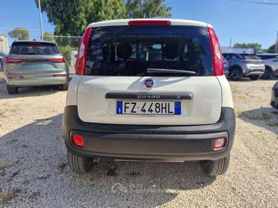 Fiat Panda VAN Bianco usata Roma