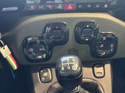 Fiat Panda 1.3 mjt 16v Lounge 75cv Verde usata Erba