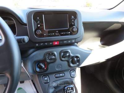 Fiat Panda 1.0 FireFly S&S Hybrid City Life Grigio usata Tolentino