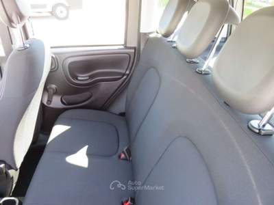 Fiat Panda 1.0 FireFly S&S Hybrid City Life Grigio usata Tolentino