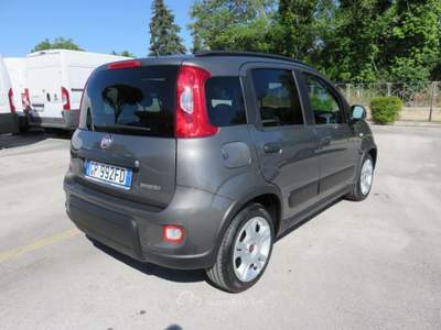 Fiat Panda 1.0 FireFly S&S Hybrid City Life Grigio usata Tolentino
