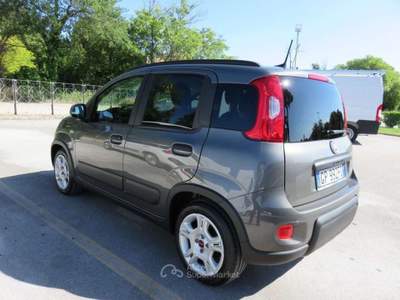 Fiat Panda 1.0 FireFly S&S Hybrid City Life Grigio usata Tolentino