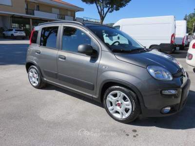 Fiat Panda 1.0 FireFly S&S Hybrid City Life Grigio usata Tolentino