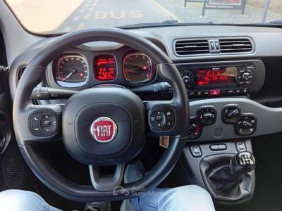 Fiat Panda Allestimento lounge Blu/Azzurro usata Arienzo