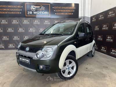Fiat Panda 4x4 Cross Verde usata Valsamoggia