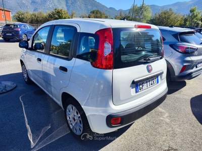 Fiat Panda FireFly S&S Hybrid Easy Bianco usata Serino