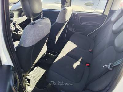 Fiat Panda FireFly S&S Hybrid Easy Bianco usata Serino
