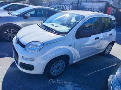 Fiat Panda FireFly S&S Hybrid Easy Bianco usata Serino